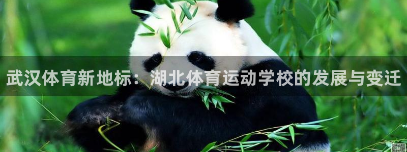 利记官网下载招商电话是多少啊：武汉体育新地标：湖北体