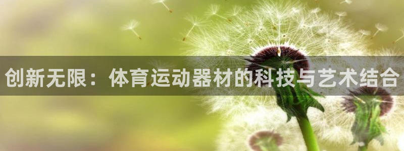 利记官方正版app集团logo：创新无限：体育运动器