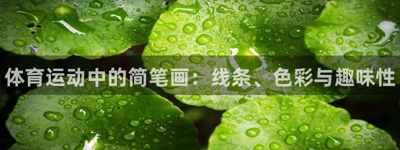 利记官方正版app娱乐下载：体育运动中的简笔画：线条