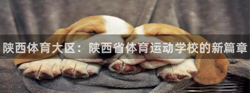 海南利记官网下载发展怎么样：陕西体育大区：陕西省体育