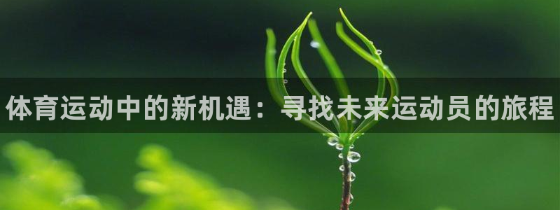 利记官方正版app集团官网网址：体育运动中的新机遇：