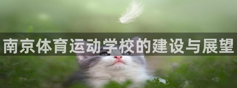 利记官网下载平台：南京体育运动学校的建设与展望
