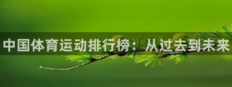 利记官方正版app集团E.ON：中国体育运动排行榜：