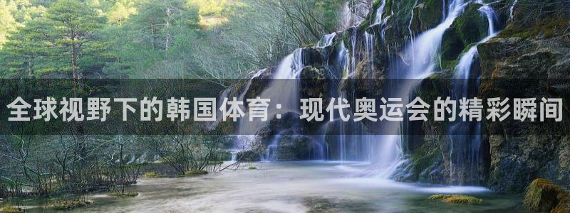 利记官网下载注册：全球视野下的韩国体育：现代奥运会的