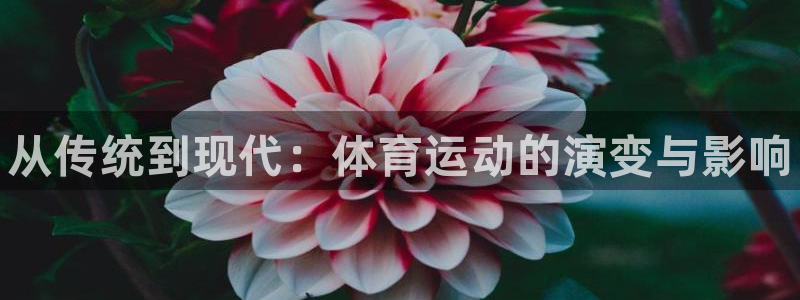 利记官方平台体育：从传统到现代：体育运动的演变与影响