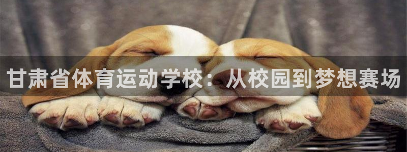 利记官网下载招商电话：甘肃省体育运动学校：从校园到梦
