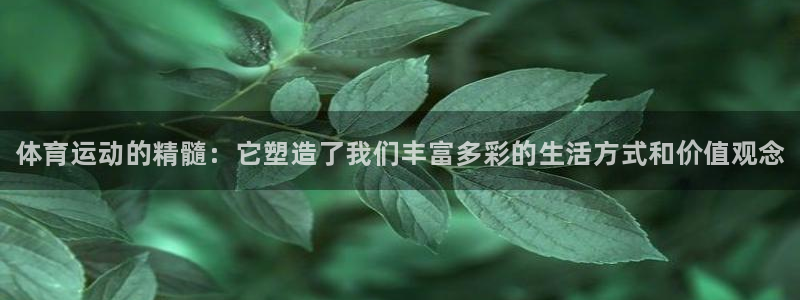 利记官方正版app开户：体育运动的精髓：它塑造了我们丰富多彩