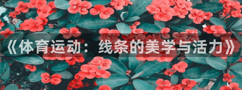 利记官网下载平台是正规平台吗：《体育运动：线条的美学与活力》