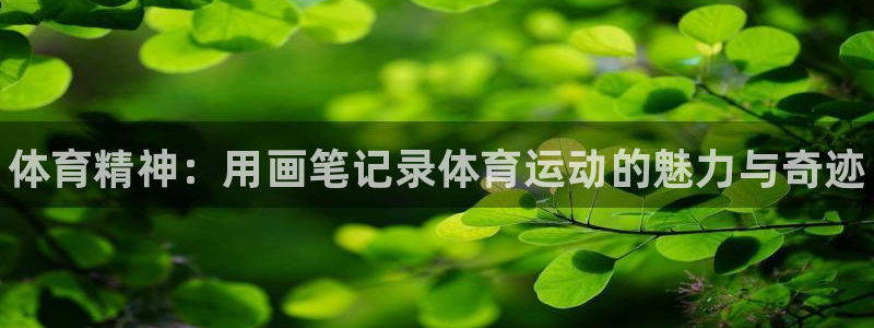 利记官网下载招商电话地址：体育精神：用画笔记录体育运