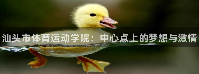 利记官方正版app娱乐：汕头市体育运动学院：中心点上