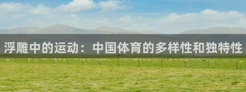 海南利记官网下载发展怎么样：浮雕中的运动：中国体育的