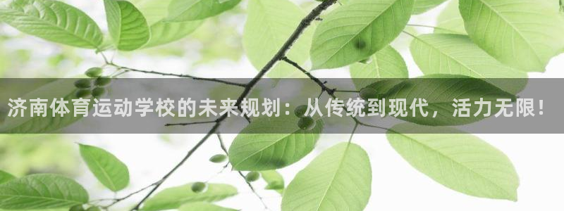 德国利记官方正版app集团：济南体育运动学校的未来规