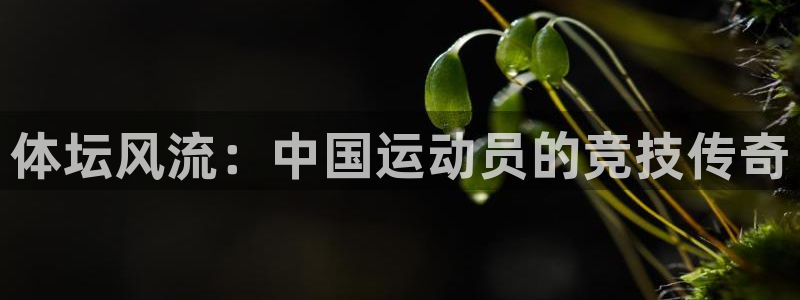 利记官网下载软件：体坛风流：中国运动员的竞技传奇