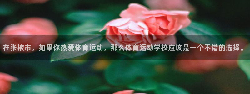 利记官方正版app集团简介：在张掖市，如果你热爱体育