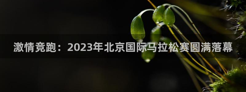 利记官网下载平台注册：激情竞跑：2023年北京国际马