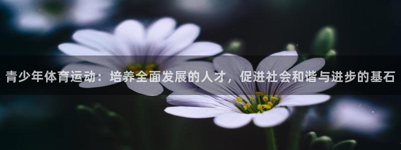 利记官方平台体育：青少年体育运动：培养全面发展的人才