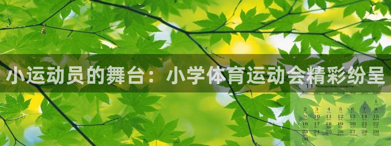 利记官方正版app新能源：小运动员的舞台：小学体育运