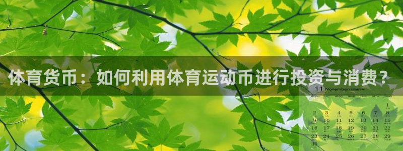 利记官网下载平台是正规平台吗安全吗：体育货币：如何利