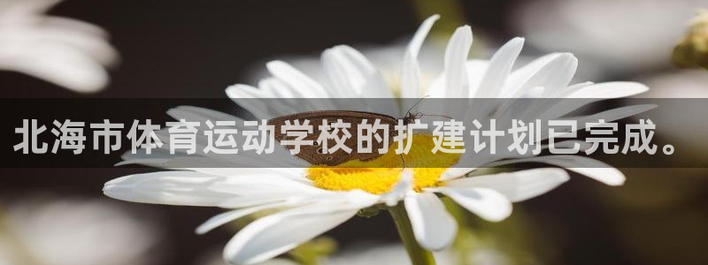 利记官网下载平台：北海市体育运动学校的扩建计划已完成