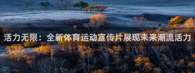利记官网下载平台APP：活力无限：全新体育运动宣传片