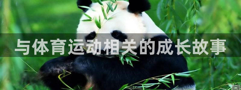 利记官网下载开户：与体育运动相关的成长故事