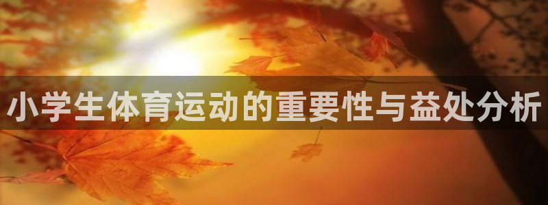 利记官方正版app官网：小学生体育运动的重要性与益处分析