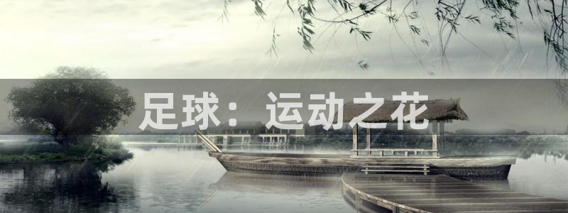 利记官方正版app娱乐代理怎么样：足球：运动之花