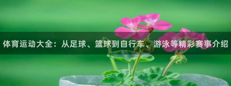 利记官网下载平台假的吗是真的吗吗：体育运动大全：从足球、篮球