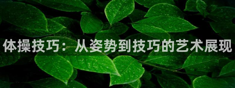 利记官网下载平台注册流程视频：体操技巧：从姿势到技巧的艺术展