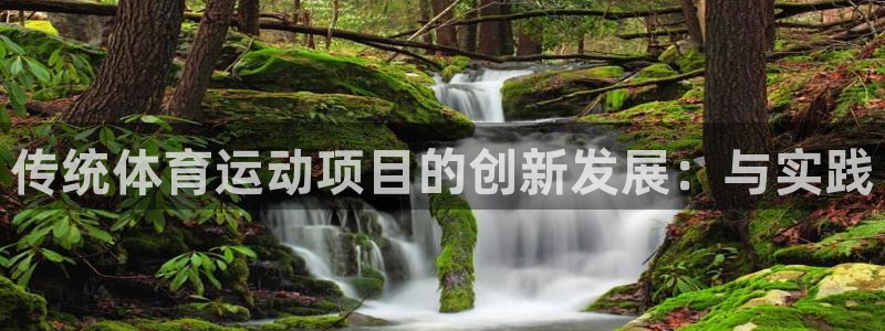 利记官方正版app开户：传统体育运动项目的创新发展：与实践