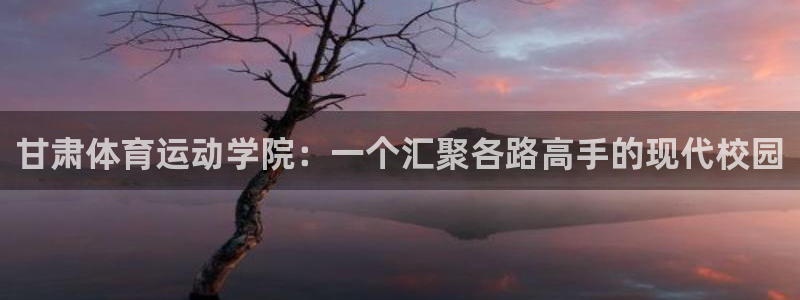 利记官网下载平台注册：甘肃体育运动学院：一个汇聚各路