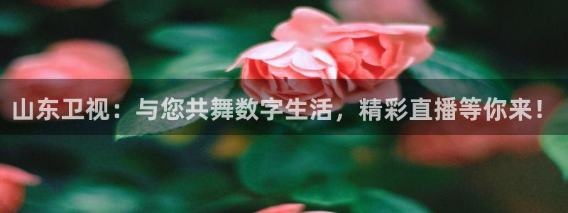 搜球8直播nba直播：山东卫视：与您共舞数字生活，精彩直播等你来！