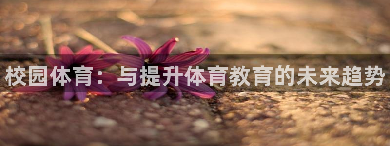 利记手机官网：校园体育：与提升体育教育的未来趋势
