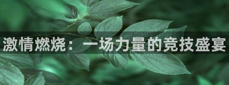 利记app怎么样：激情燃烧：一场力量