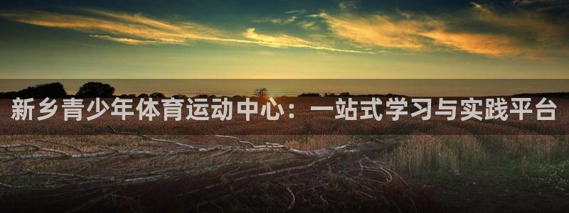  利记娱乐app是什么：新乡青少年体育运动中心：一站式学习与实