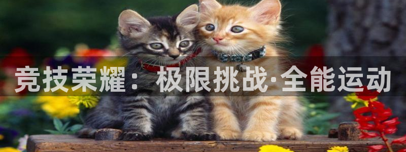  利记sbobet黑款吗：竞技荣耀：极限挑战·全能运动