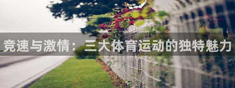 利记官网登录入口：竞速与激情：三大体