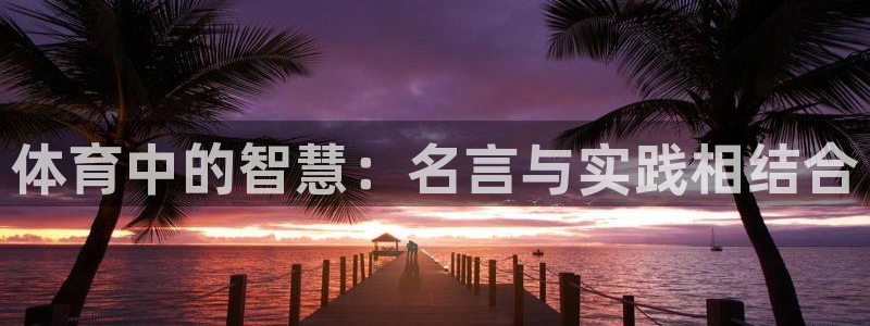  利记sbobet官网(china)：体育中的智慧：名言与实践