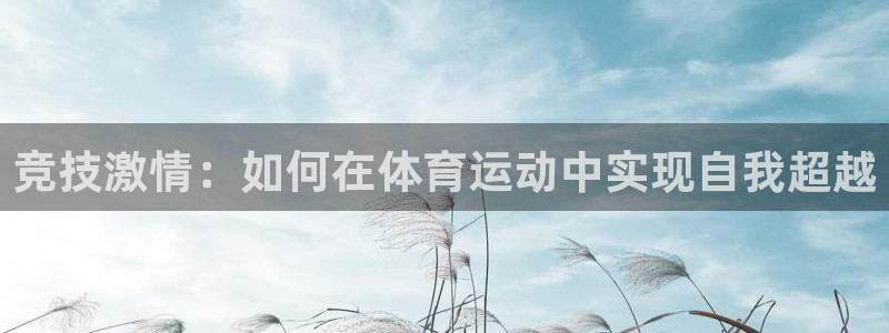 利记官网登录入口：竞技激情：如何在体育运动中实现自我超越