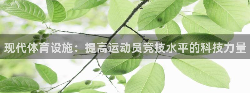  利记官方网站是多少：现代体育设施：提高运动员竞技水平的科技力