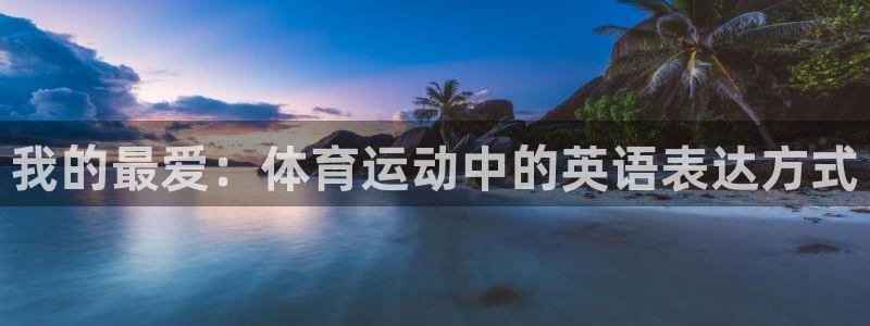 利记官方网站是多少：我的最爱：体育运
