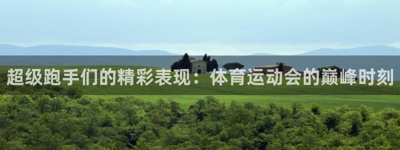 利记sbobet官方网站入口：超级跑