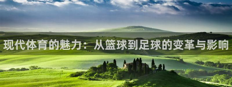 利记lk：现代体育的魅力：从篮球到足