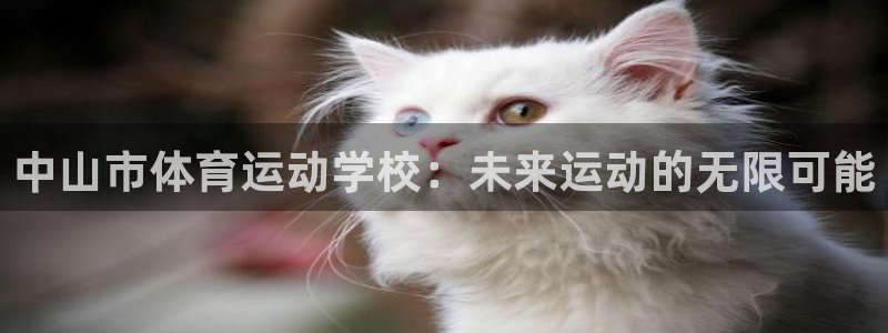 利记官方网站是多少：中山市体育运动学