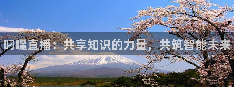 搜球直播：叼嘿直播：共享知识的力量，共筑智能未来