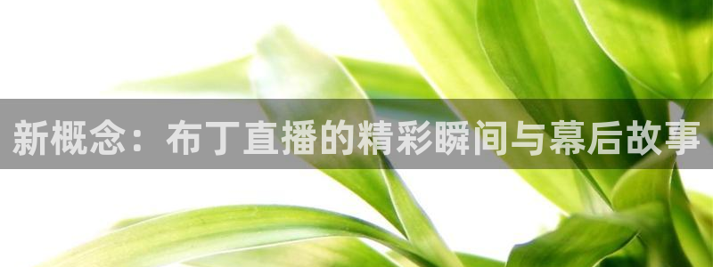 搜球吧 直播：新概念：布丁直播的精彩瞬间与幕后故事
