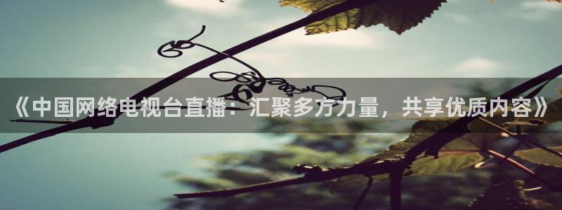 搜球直播：《中国网络电视台直播：汇聚多方力量，共享优质内容》