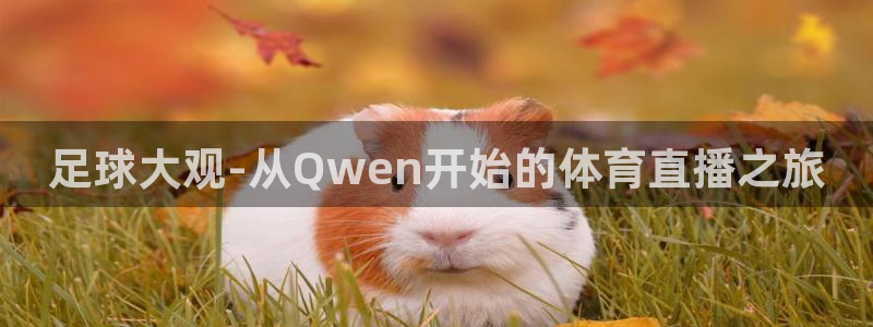 搜球体育官网：足球大观-从Qwen开始的体育直播之旅